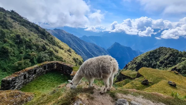 luxury 4 days inca trail glamping