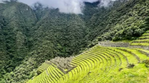 Camino Inca de 4 Días Premium