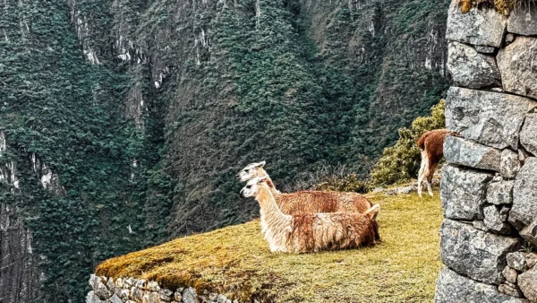 tour machu picchu